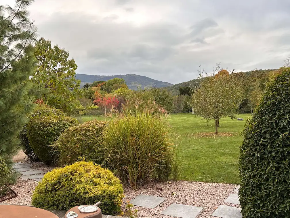vue sur le grand jardin